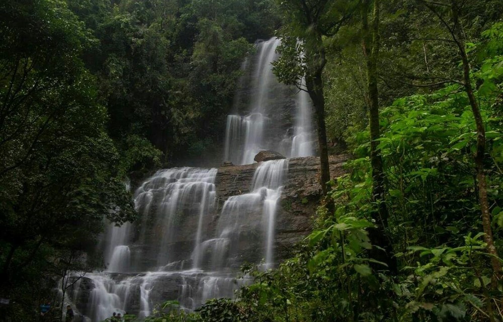 Veera Resort Attraction Pictures